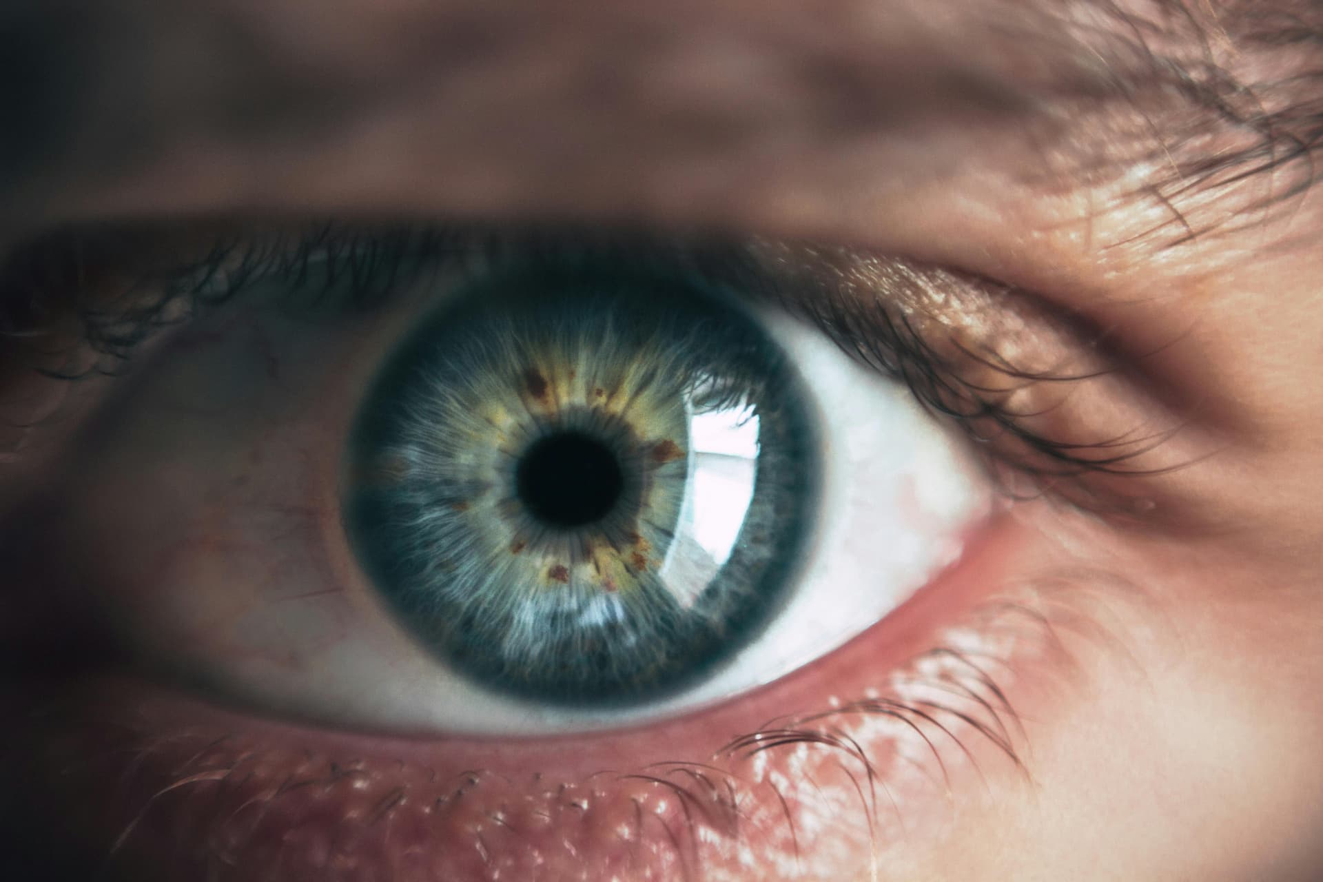 MyEye AI Eye Scanner Reviews - Real user testimonials showing 5-star ratings for eye color analysis